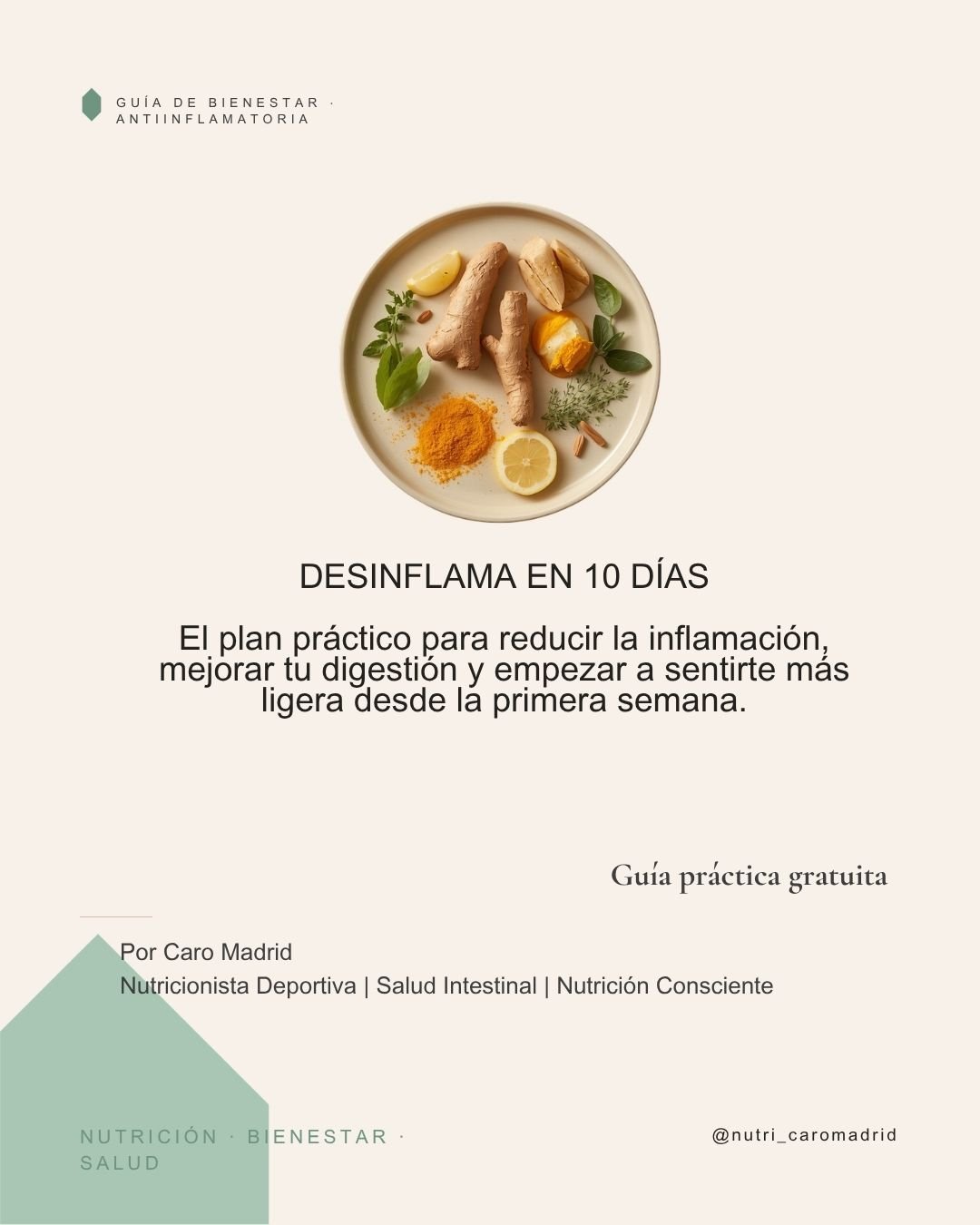 Portada de la Mini Guía Desinflama en 10 Días por la nutricionista Caro Madrid